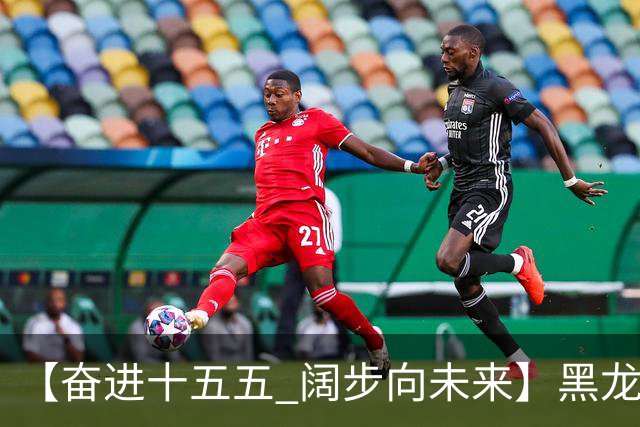 【奋进十五五 阔步向未来】黑龙江农机产业正加速迈向高端化智能化绿色化